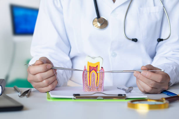 Best Emergency Treatment for Dental Infections or Abscesses in North Branch, MN